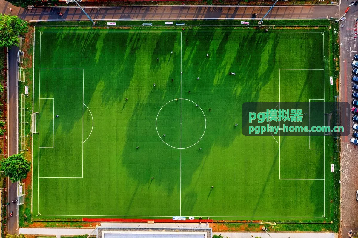 pg模拟器安装教程界面展示